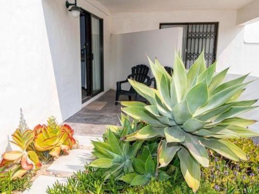 Paternoster Roosmarijn Rooms - Inverter Экстерьер фото